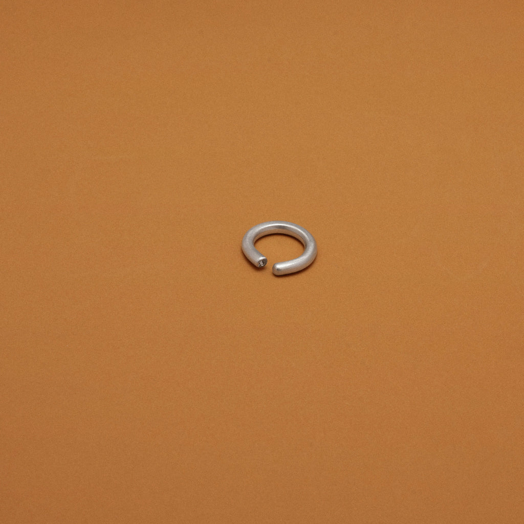 Ring Orbit