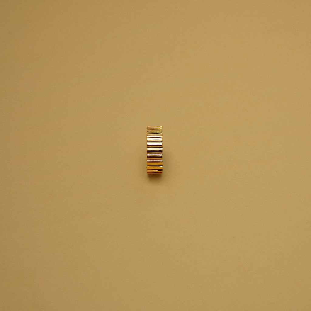 Ring Ribby