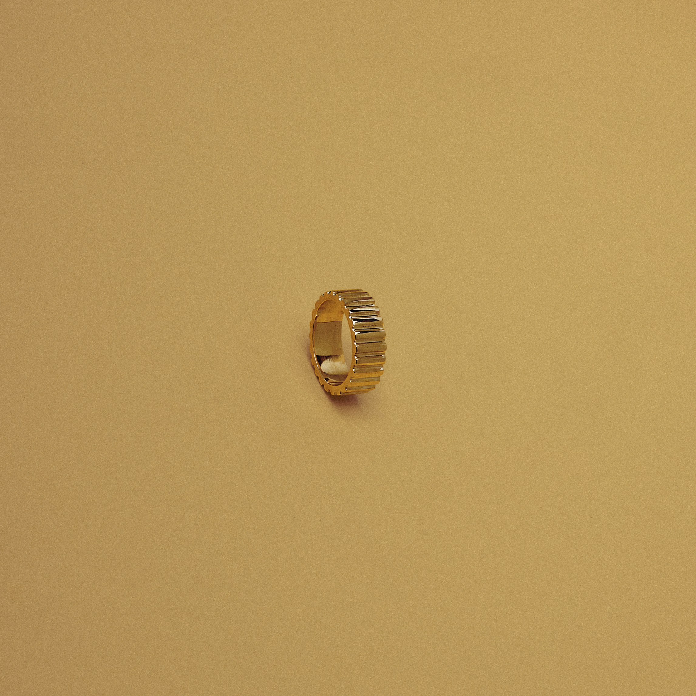 Ring Ribby
